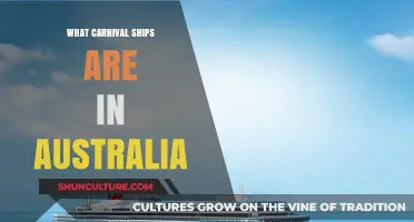 Carnival Ships in Australia: Exploring the Fleet