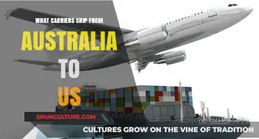 Best Carriers for Shipping Australia to US