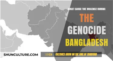 Unraveling the Roots of Bangladesh Genocide: Triggers of Brutal Violence