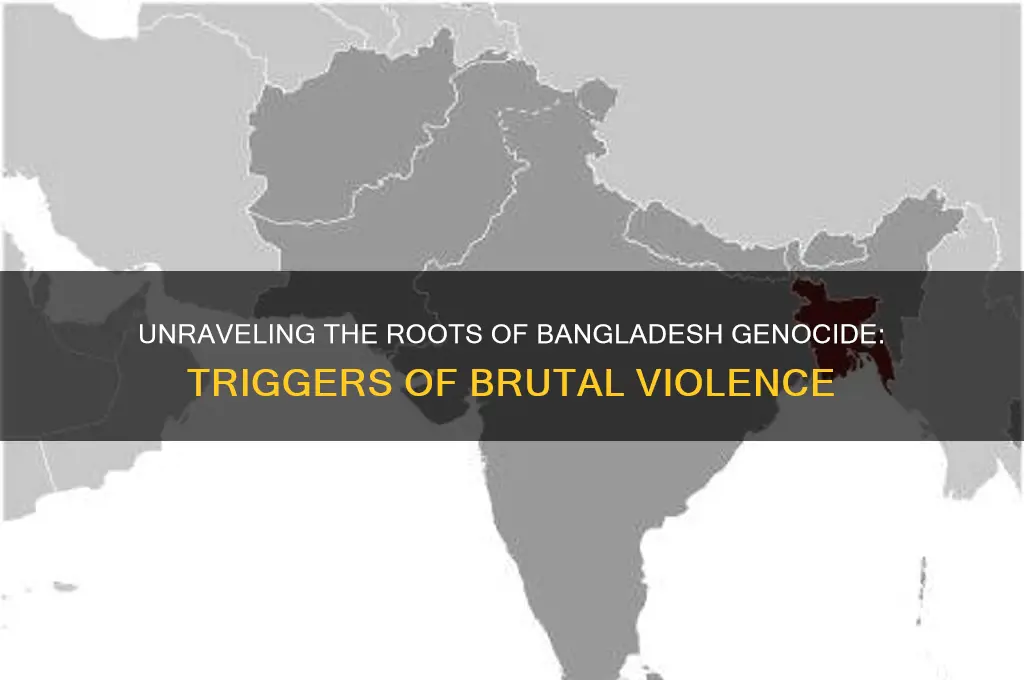 what cause the violence during the genocide bangladesh