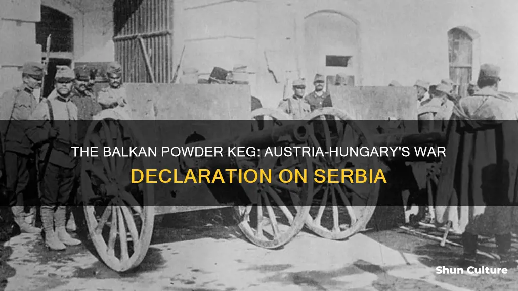 what caused austria hungary to declare war on serbia