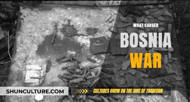 The Complex Origins of the Devastating Bosnia War Explained