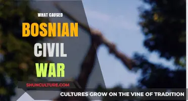 Ethnic Tensions, Political Strife: Unraveling the Causes of the Bosnian War