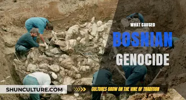 Unraveling the Complex Roots of the Bosnian Genocide: A Historical Analysis