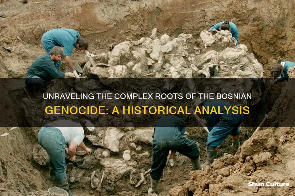 what caused bosnian genocide