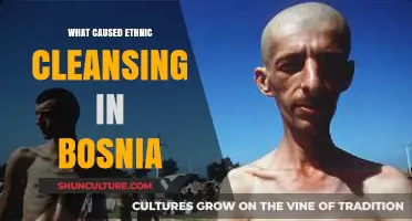 Bosnia's Ethnic Cleansing: Unraveling the Complex Causes and Historical Roots