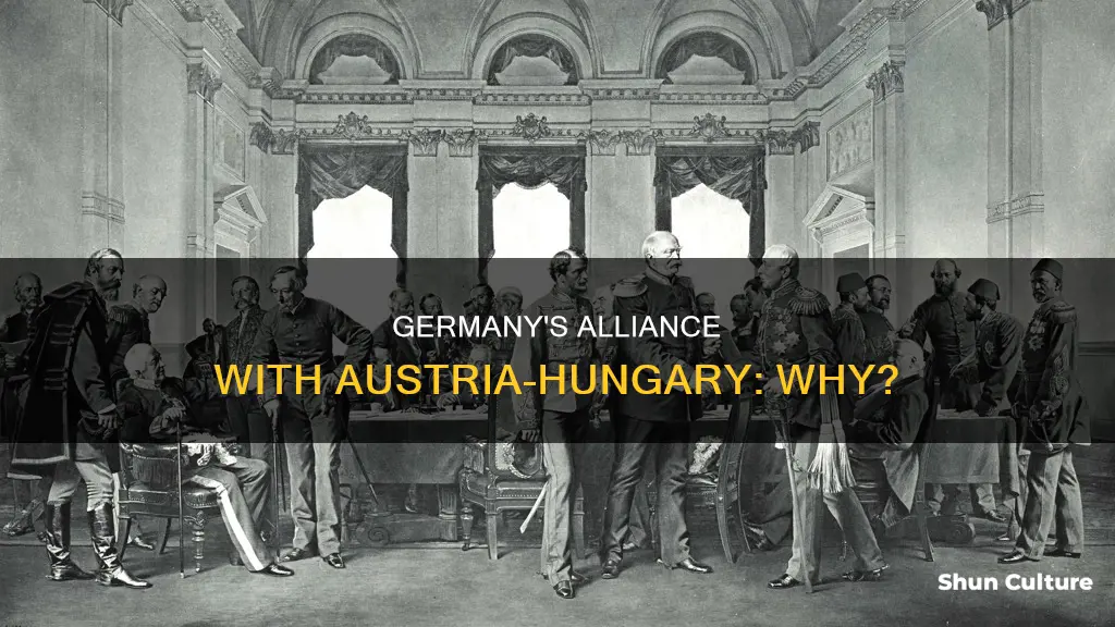 what caused germany to create alliance with austria-hungary weegy