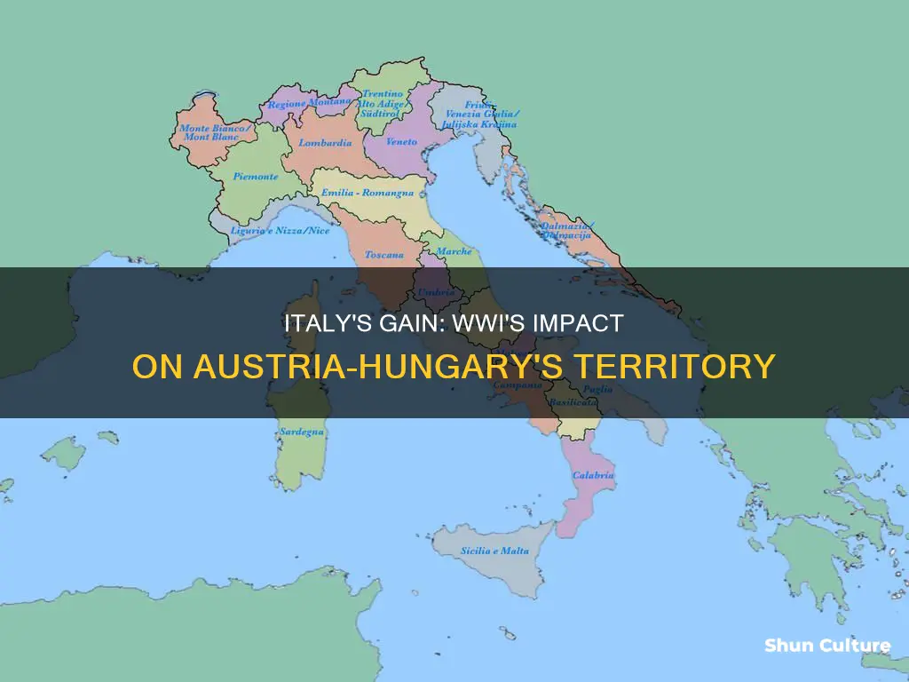 what caused italy to get land from austria-hungary in wwi