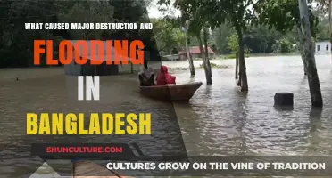 Bangladesh's Devastating Floods: Unraveling the Causes of Widespread Destruction