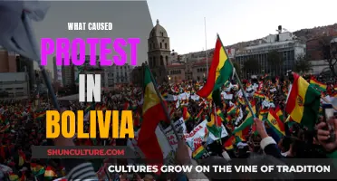 Bolivia's Political Turmoil: Protests Explained