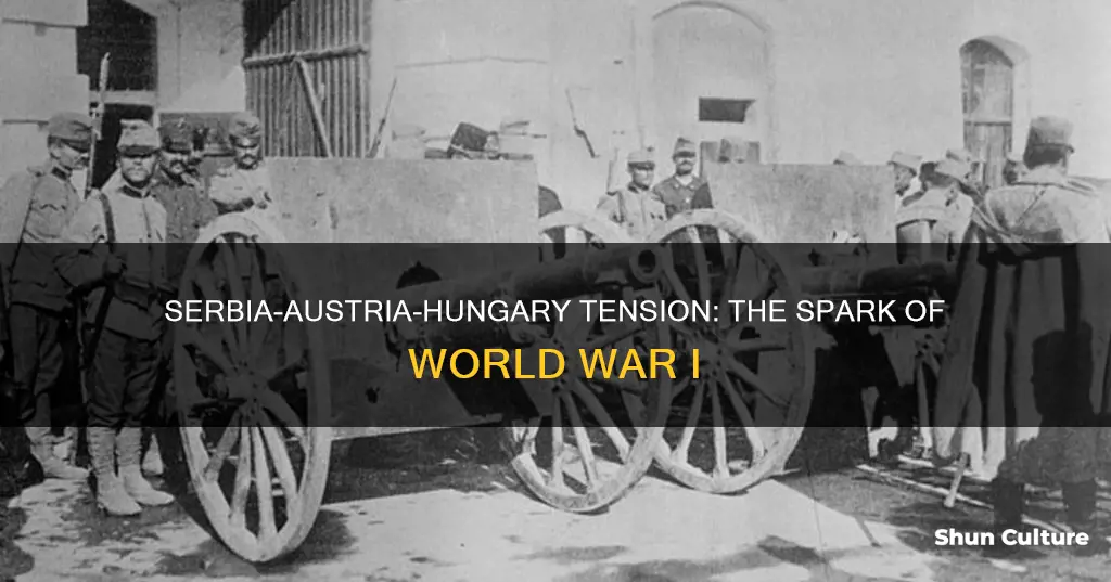 what caused tension between serbia and austria hungary