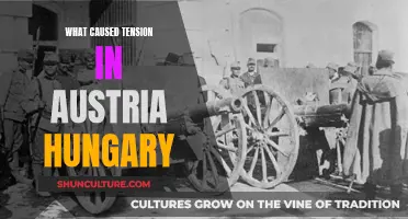 Tensions in Austria-Hungary: Complex Ethnic and Nationalistic Issues