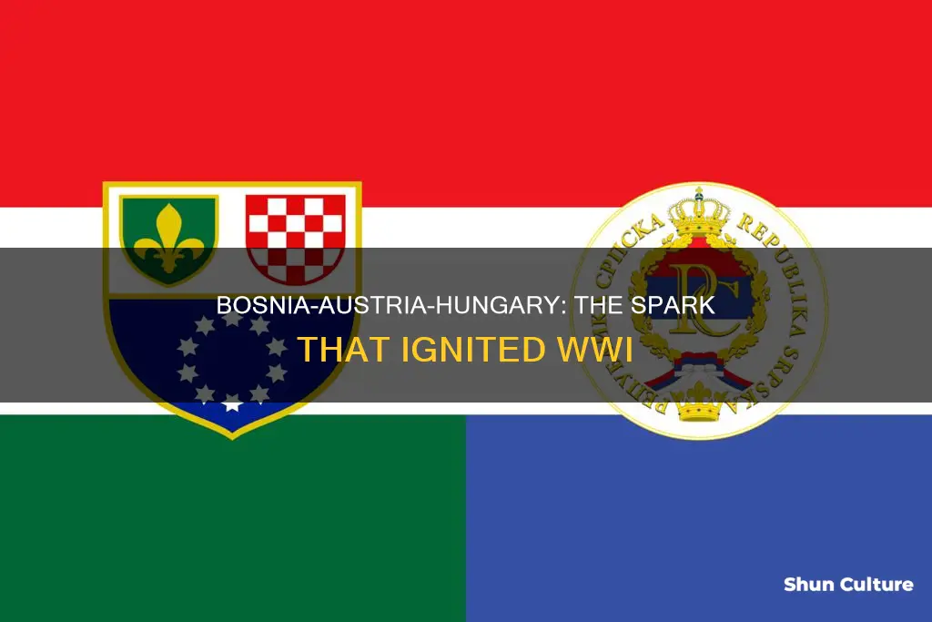 what caused tension to rise between bosnia and austria hungary