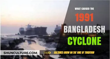 Unraveling the Devastating Factors Behind Bangladesh's 1991 Cyclone Disaster