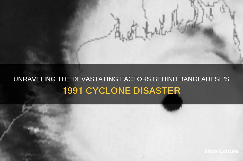 what caused the 1991 bangladesh cyclone