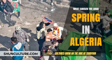 Algeria's Arab Spring: Unraveling the Socio-Economic and Political Catalysts