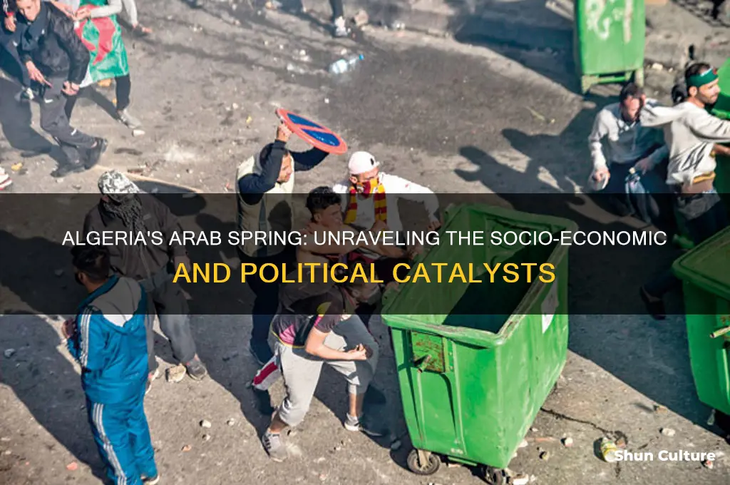 what caused the arab spring in algeria