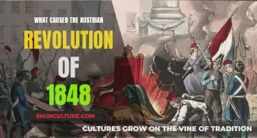 Spark of Austrian Revolution: 1848's Underlying Causes