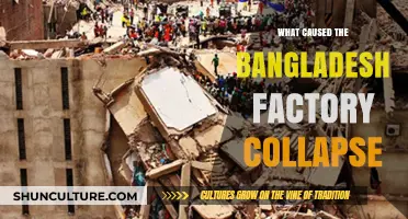 Unraveling the Tragedy: Causes Behind Bangladesh's Rana Plaza Collapse