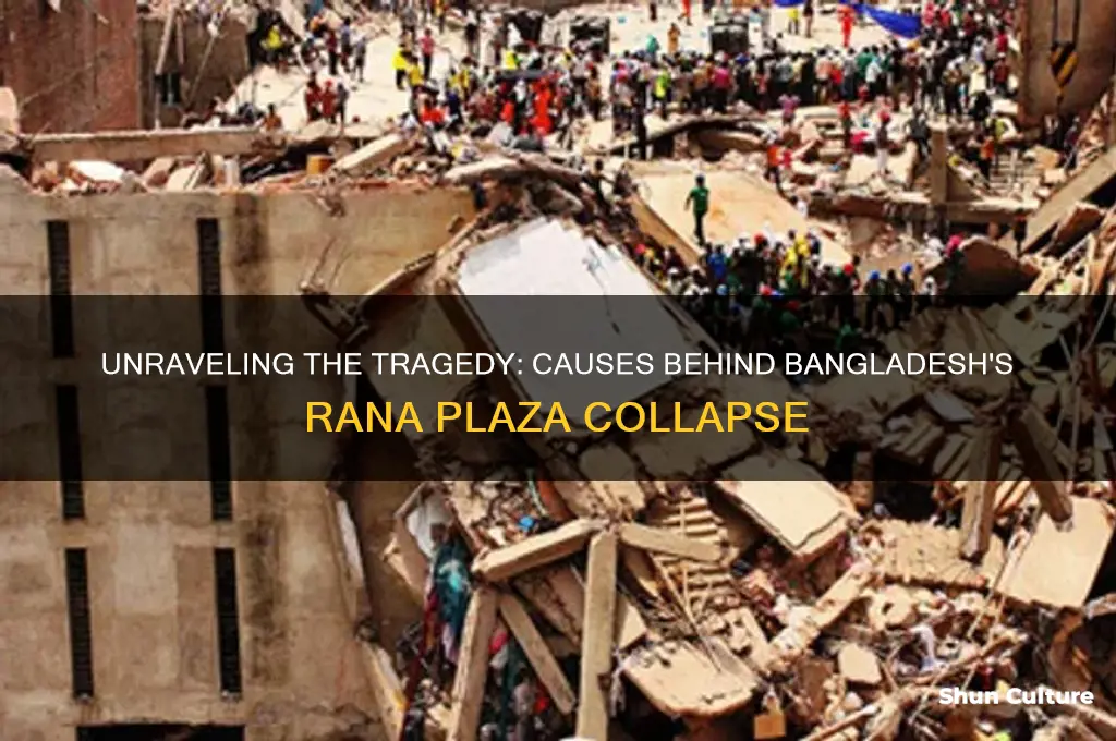 what caused the bangladesh factory collapse
