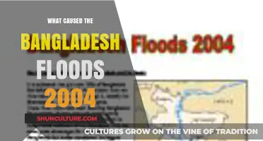 Unraveling the Devastating Causes of Bangladesh's 2004 Flood Disaster