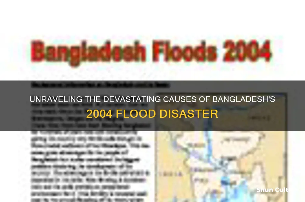 what caused the bangladesh floods 2004