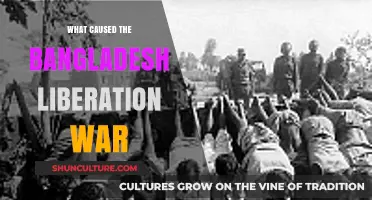 The Spark of Freedom: Unraveling Bangladesh's Liberation War Origins