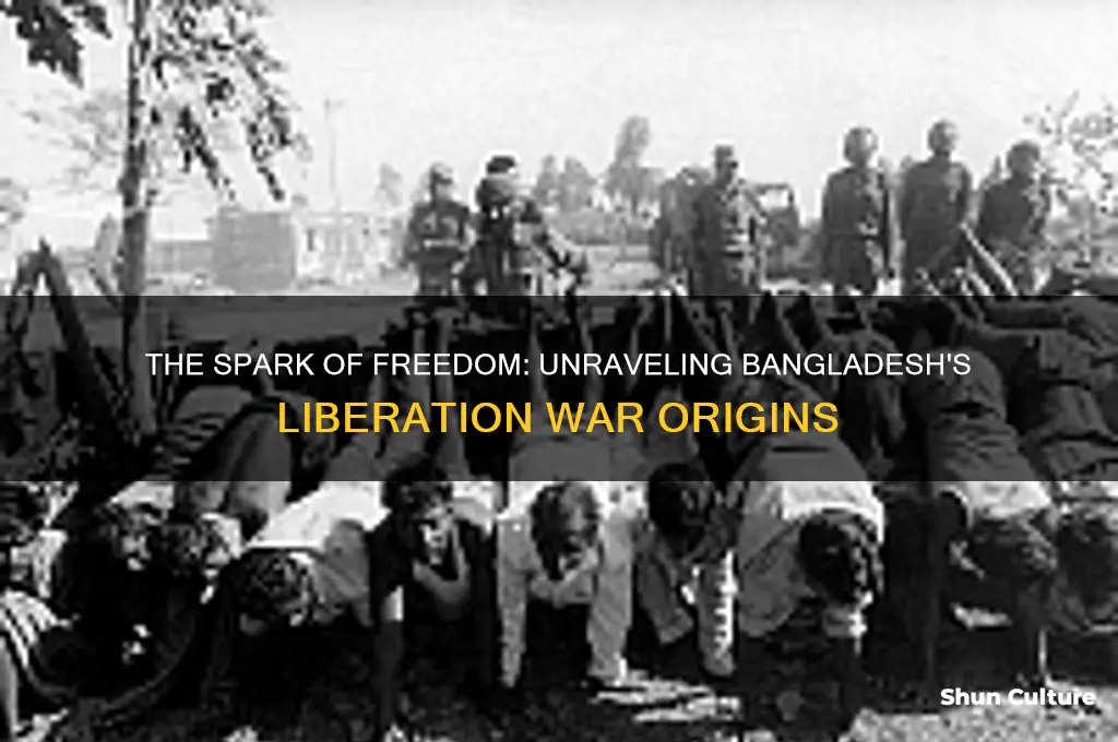 what caused the bangladesh liberation war