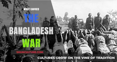 Unraveling the Roots: What Sparked the Bangladesh Liberation War?