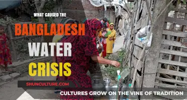Unraveling Bangladesh's Water Crisis: Causes and Consequences Explored