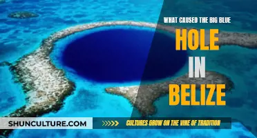 The Mystery of the Great Blue Hole: Unraveling the Origins of Belize's Underwater Wonder