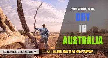 Australia's Big Dry: Climate Change Impact