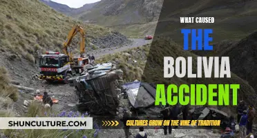 Bolivia Accident: What Factors Led to the Tragedy?