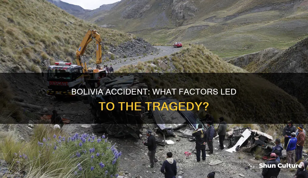 what caused the bolivia accident