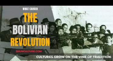 Bolivian Revolution: Roots of Change and Uprising