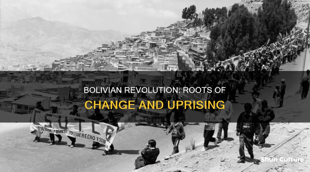 what caused the bolivian revolution