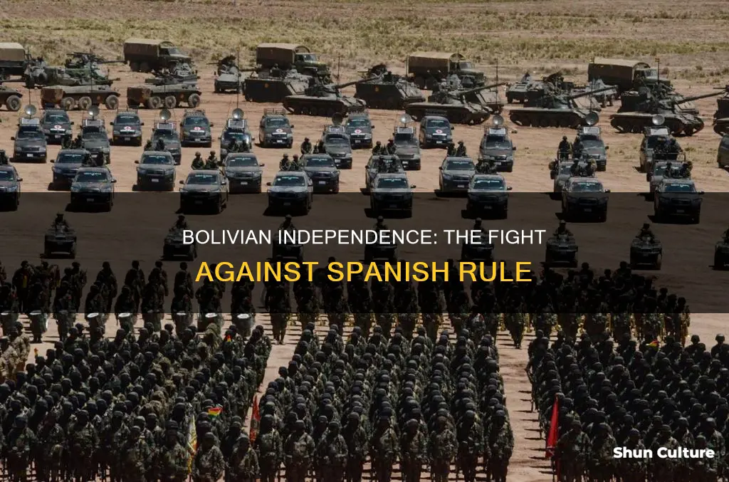 what caused the bolivian war of independence