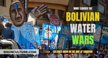 Bolivian Water Wars: A Battle for Control and Resources