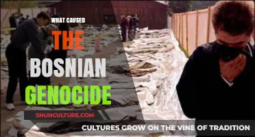 The Bosnian Genocide: Unraveling the Complex Causes and Tragic Consequences
