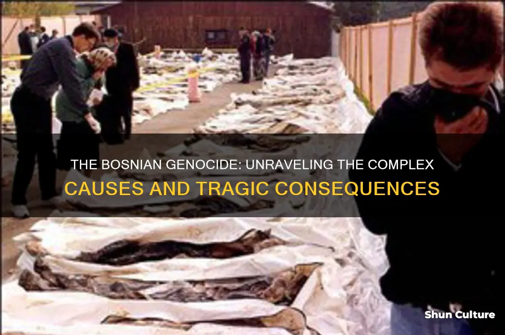 what caused the bosnian genocide