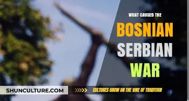 The Bosnian-Serbian War: Unraveling the Complex Causes and Triggers