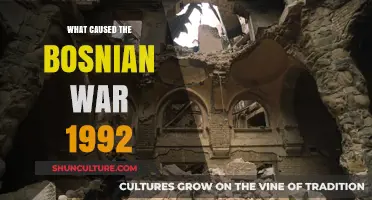 The Complex Origins of the 1992 Bosnian War: A Deep Dive