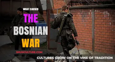 The Bosnian War: Unraveling the Complex Causes of the Conflict
