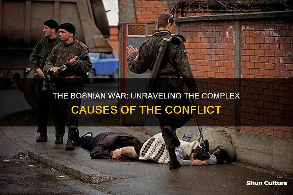 what caused the bosnian war