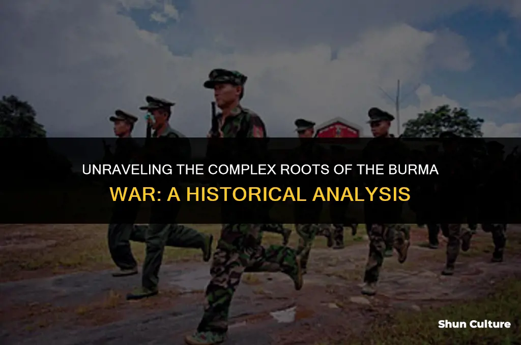 what caused the burma war