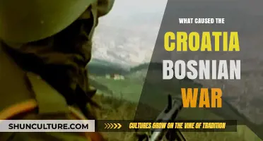 Unraveling the Complex Origins of the Croatian-Bosnian Conflict