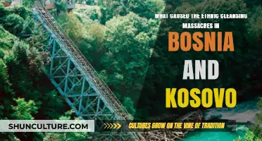 Unraveling the Roots of Ethnic Cleansing in Bosnia and Kosovo
