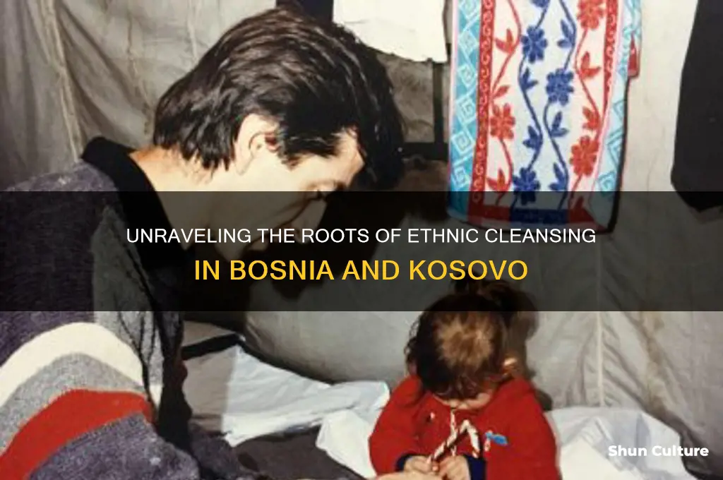 what caused the ethnic cleansing massacres in bosnia and kosovo