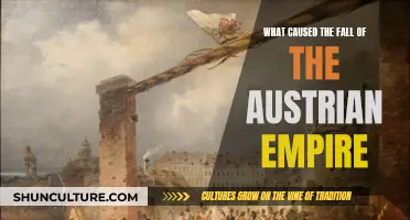 The Austrian Empire: Factors Leading to its Downfall