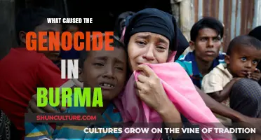 Unraveling the Complex Roots of Genocide in Burma